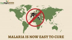 How To Cure Malaria?