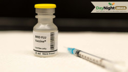 Rising Cases of Bird Flu: Should You Be Worried About H5N1