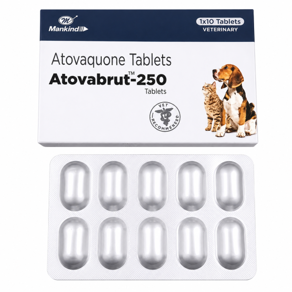 A pack and a strip of Generic Atovaquone 250mg Tablets