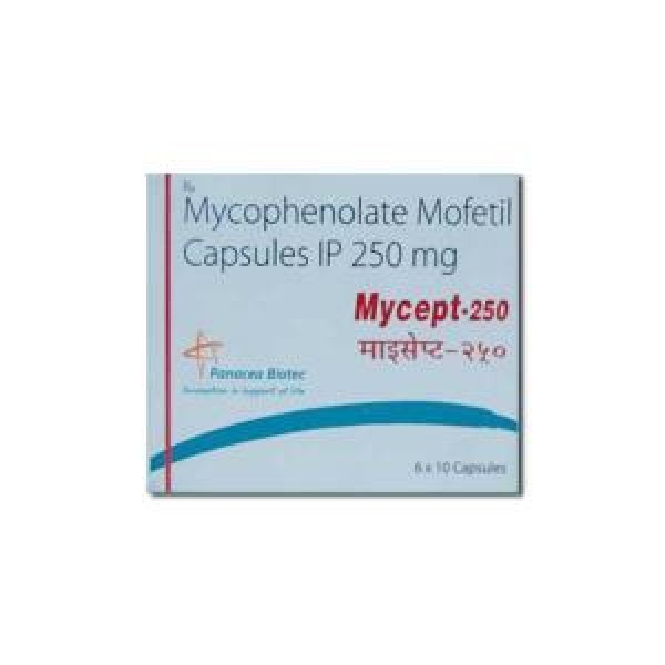 Generic CellCept 250 mg Caps