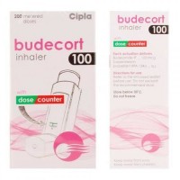 Front and backside of Budesonide 100mcg Inhaler Box pack
