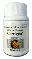 Bottle of Generic Genicin 500 mg Caps - Glucosamine
